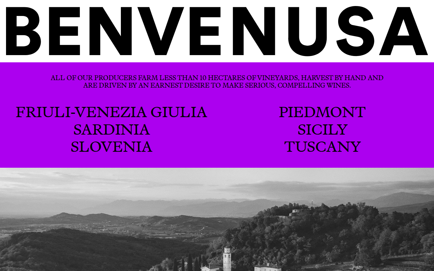 Screenshot of Benvenusa Italian Wines
