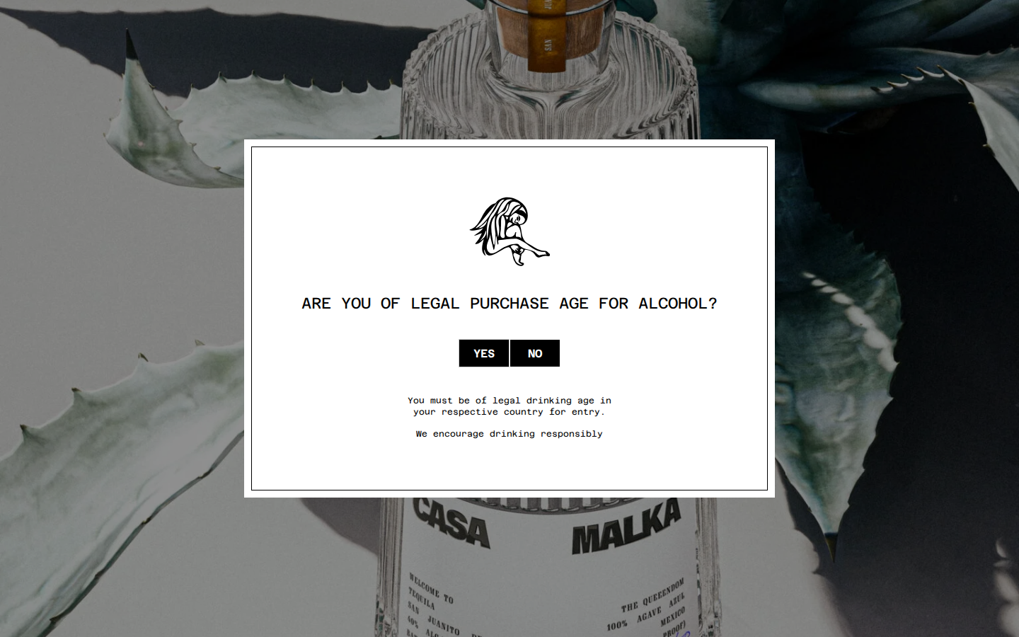 Screenshot of Casa Malka