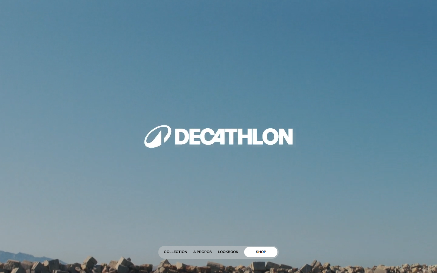 Screenshot of Decathlon