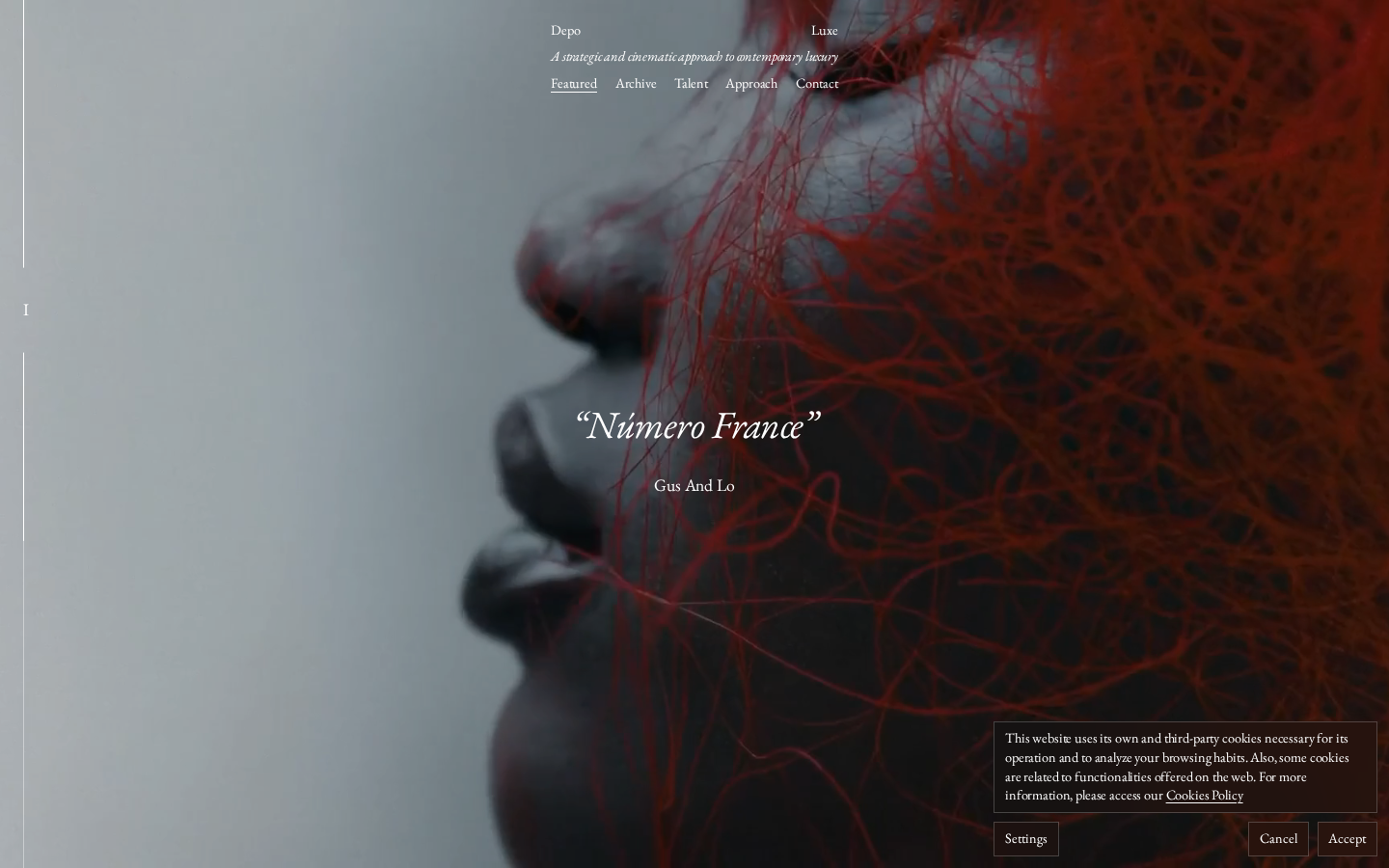 Screenshot of Depo Luxe