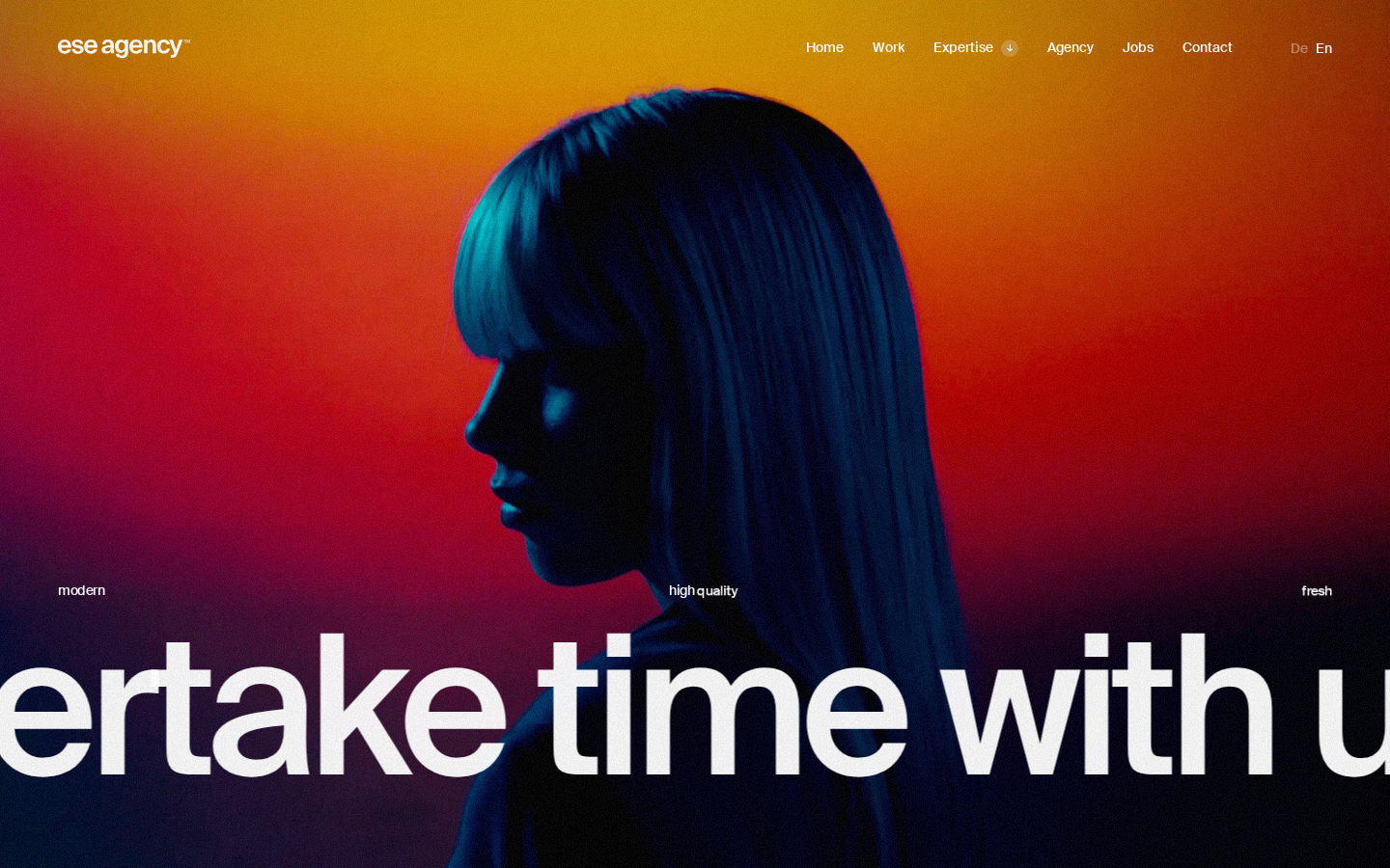 Screenshot of ESE Agency