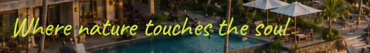 Caveat in use on SeaHotel