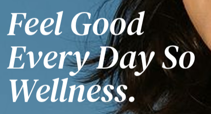 DM Serif in use on Wellnora