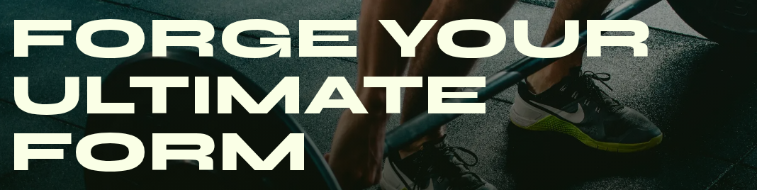 Syne in use on ARES FIT