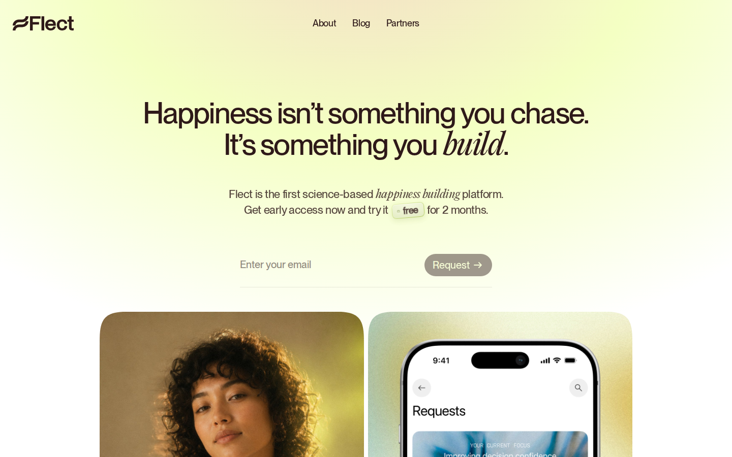 Screenshot of Flect