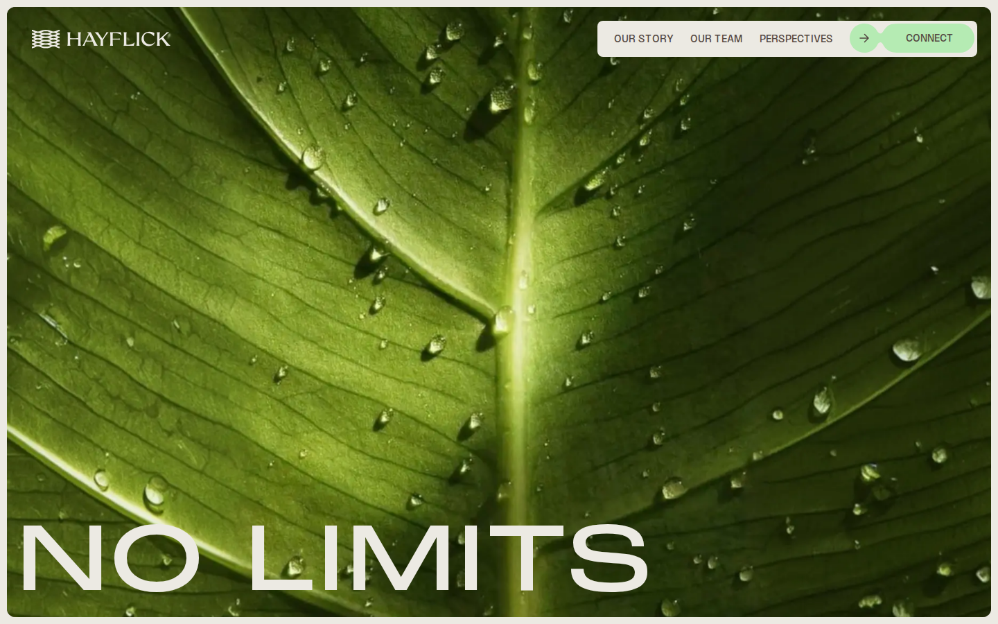 Screenshot of Hayflick Therapeutics