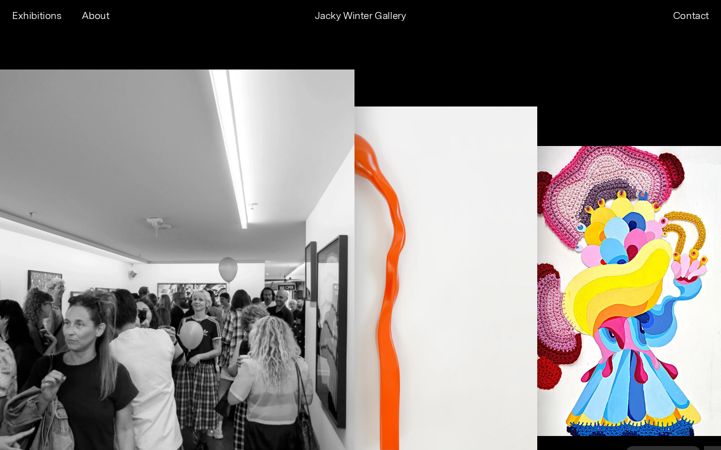 Screenshot of Jacky Winter Gallery