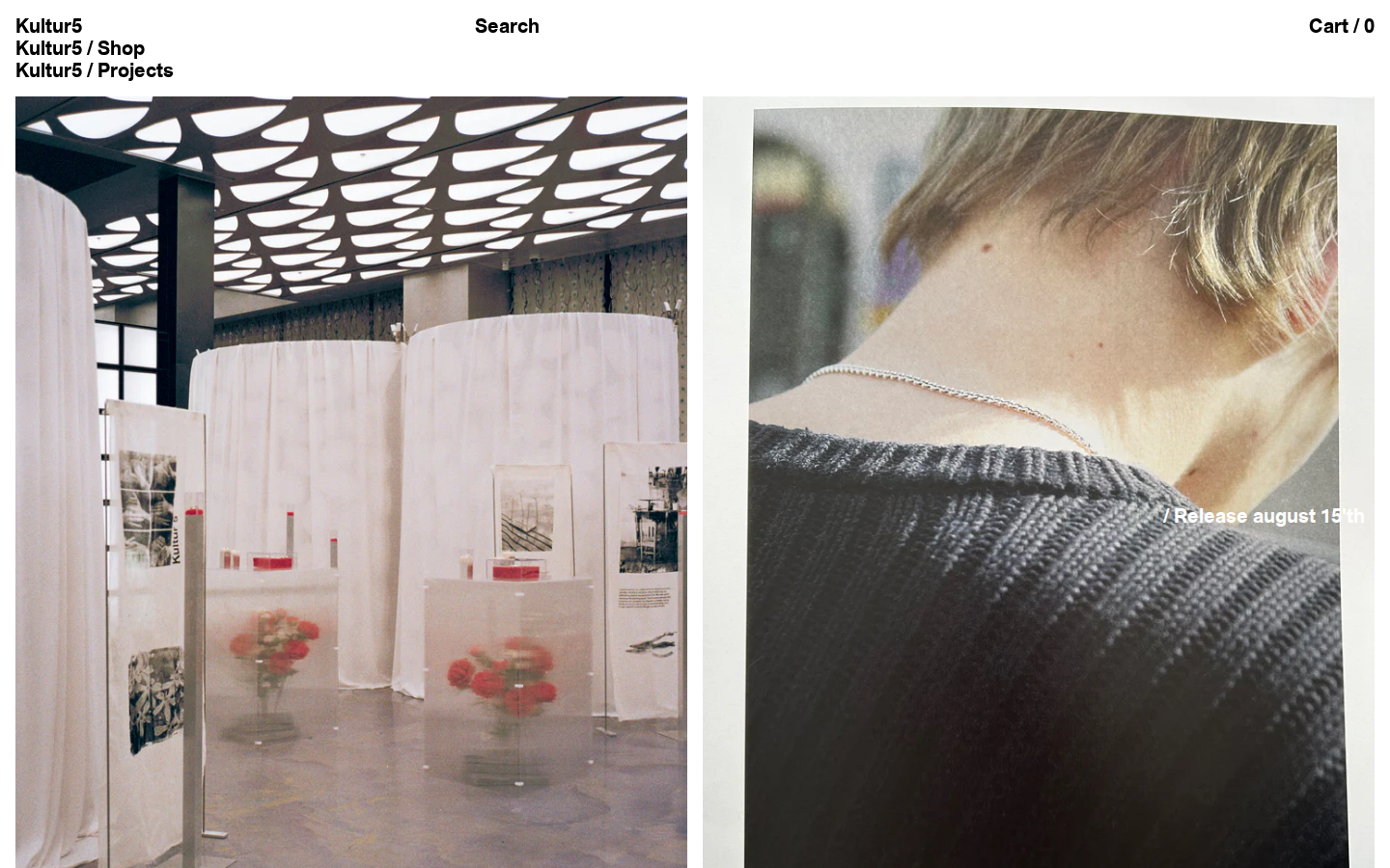 Screenshot of Kultur5