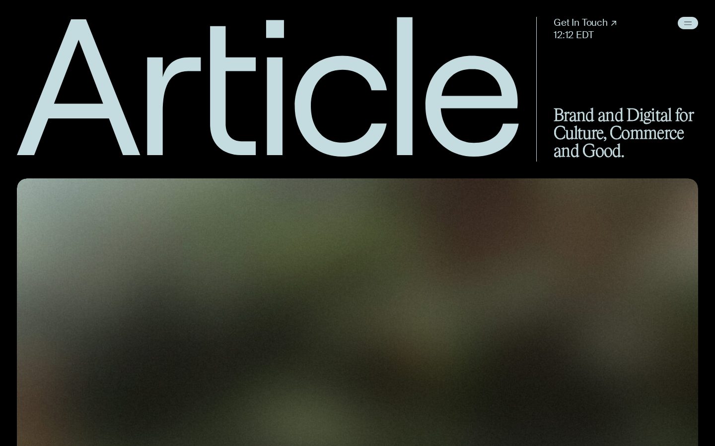 Screenshot of Article