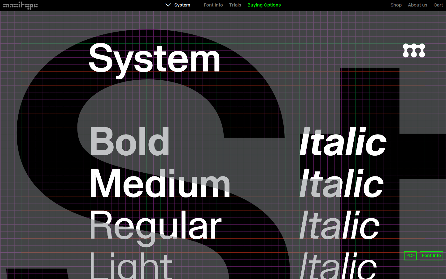 Screenshot of Maxitype