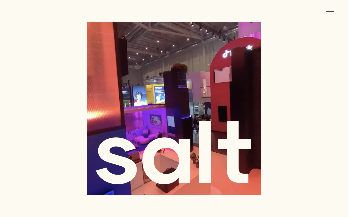 Screenshot of Salt Productions