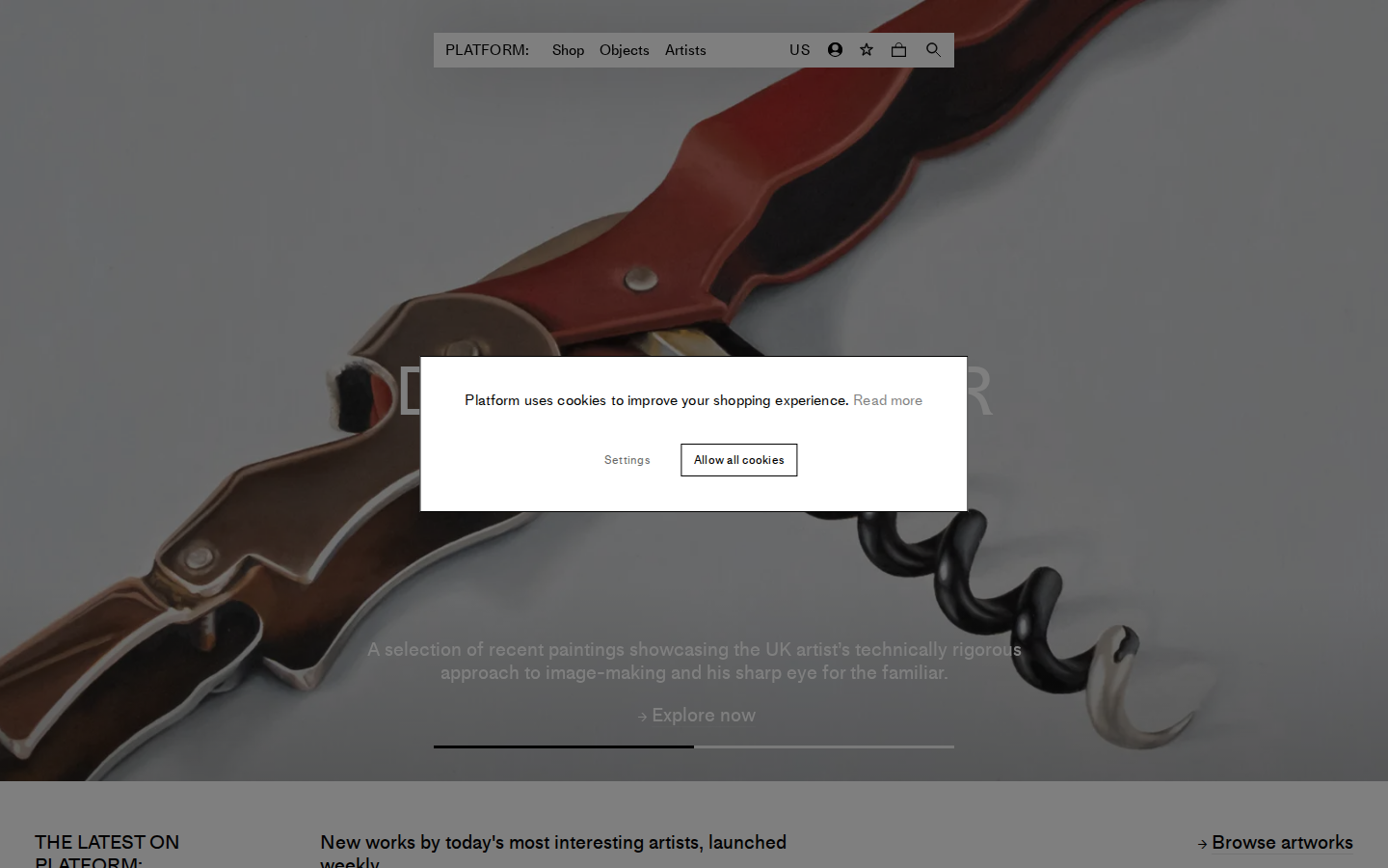 Screenshot of PLATFORM