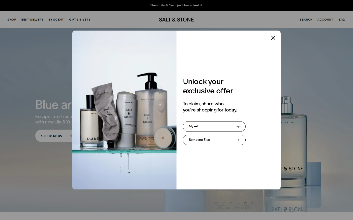 Screenshot of SALT & STONE