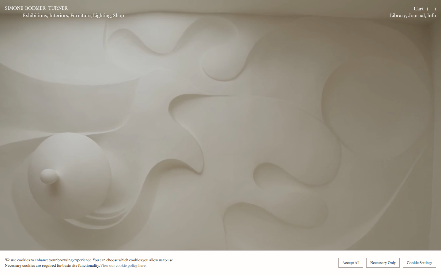 Screenshot of Simone Bodmer-Turner