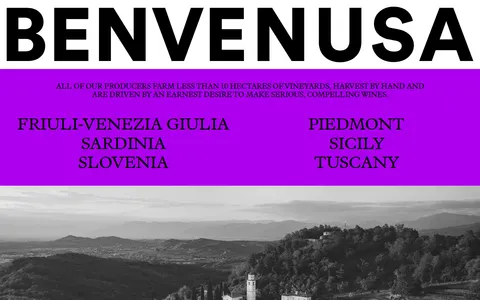 Screenshot of Benvenusa Italian Wines
