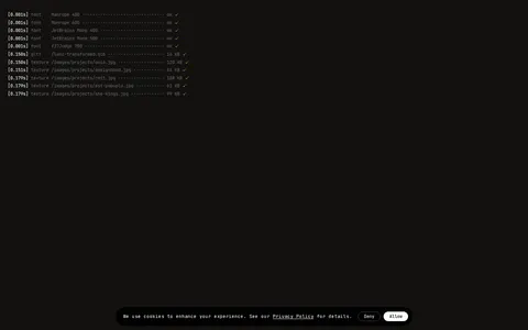 Hon Tran — Creative Developer