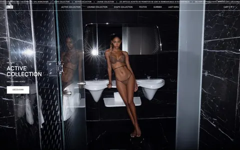 Screenshot of IMII Paris