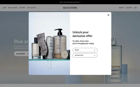 Screenshot of SALT & STONE