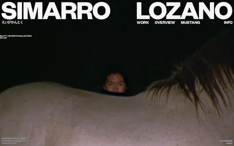 Screenshot of SIMARRO LOZANO