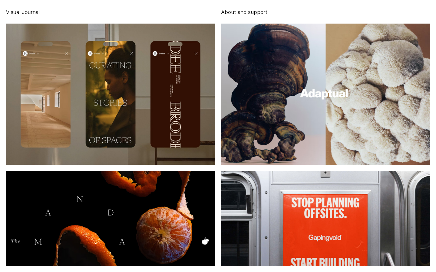 Screenshot of Visual Journal